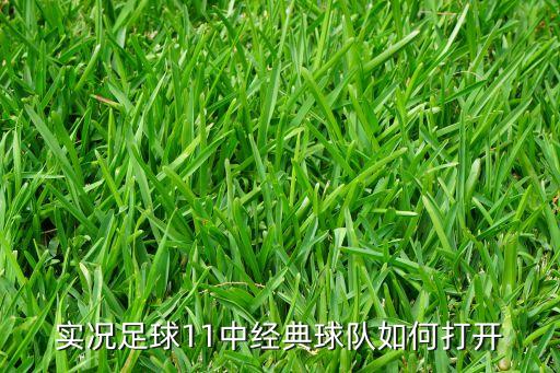 实况足球11中经典球队如何打开