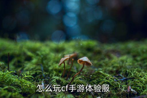 cf手游先遣服怎么玩，穿越火线手游体验服不申请资格怎么玩