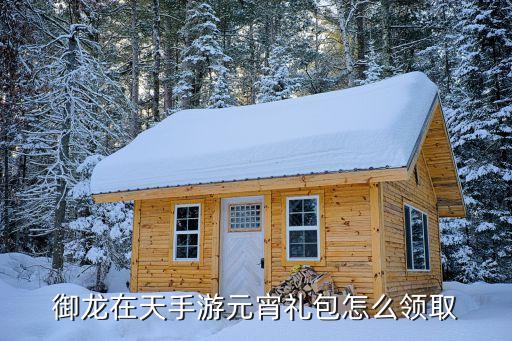 御龙在天手游元宵礼包怎么领取