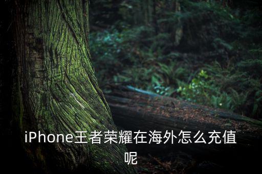 iPhone王者荣耀在海外怎么充值呢