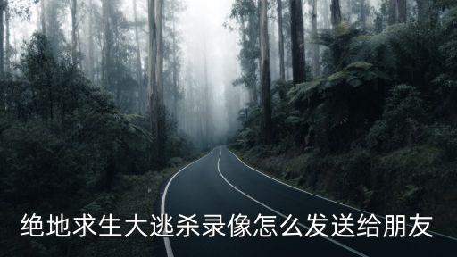 绝地求生大逃杀录像怎么发送给朋友