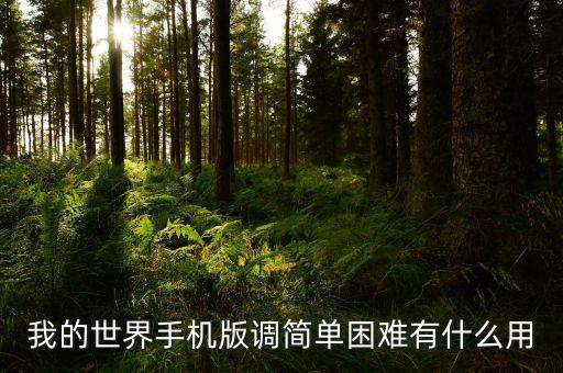 我的世界手机版调简单困难有什么用