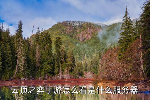 手游云顶怎么查自己是什么服，怎么看自己下的云顶之弈是不是测试服