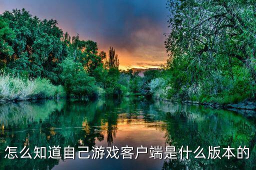 怎么知道自己游戏客户端是什么版本的