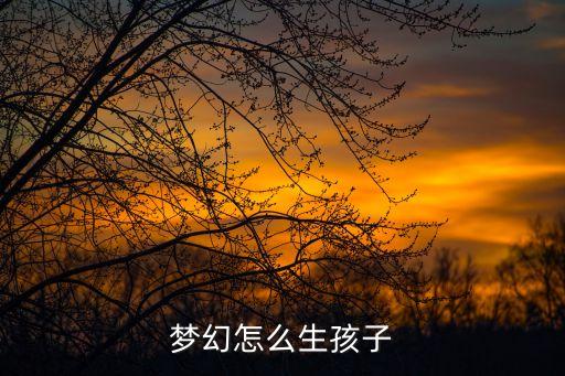 梦幻怎么生孩子