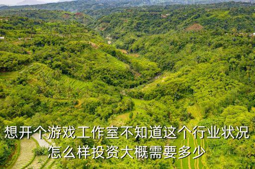 手游工作室项目怎么样，现在搞游戏工作室的利润怎么样