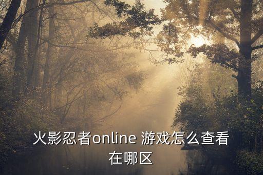 火影忍者online 游戏怎么查看在哪区