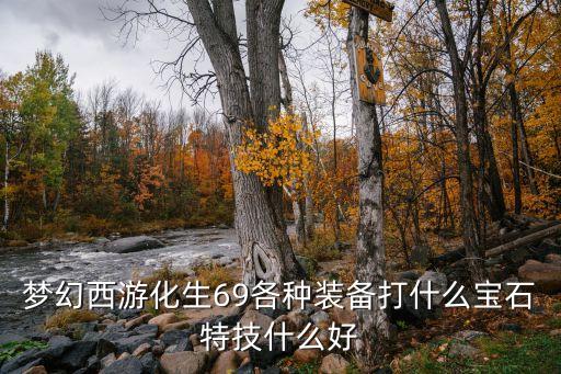 梦幻西游化生69各种装备打什么宝石特技什么好