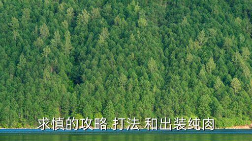 求慎的攻略 打法 和出装纯肉