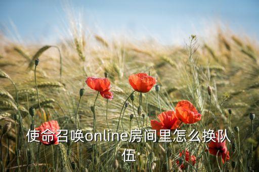 使命召唤online房间里怎么换队伍