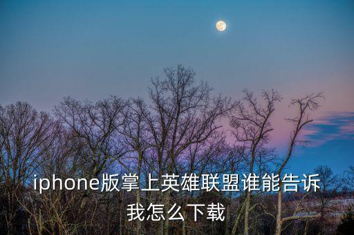 iphone版掌上英雄联盟谁能告诉我怎么下载