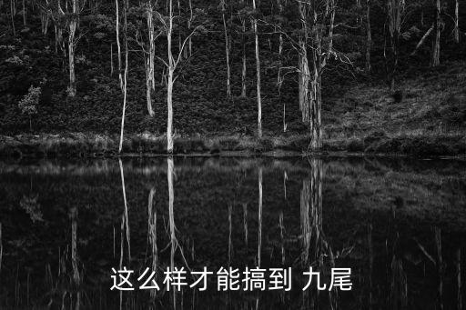 这么样才能搞到 九尾