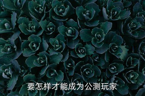 要怎样才能成为公测玩家