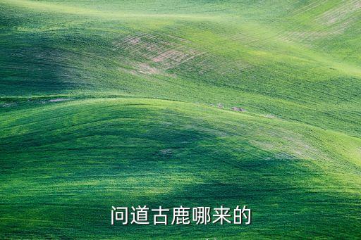问道古鹿哪来的
