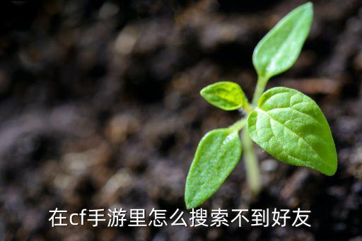 在cf手游里怎么搜索不到好友