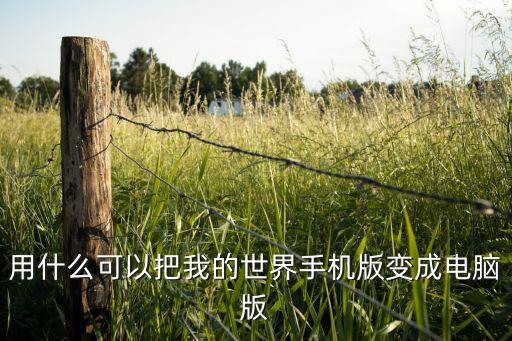 用什么可以把我的世界手机版变成电脑版