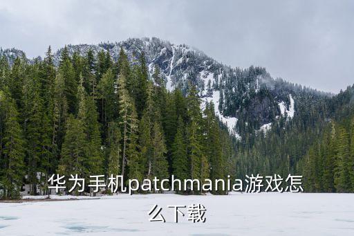 华为手游外国版怎么下载，华为手机patchmania游戏怎么下载