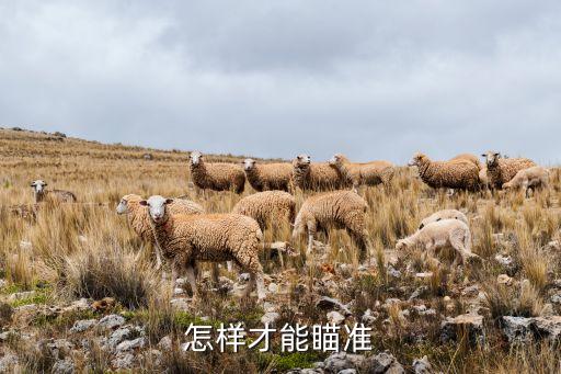 怎样才能瞄准