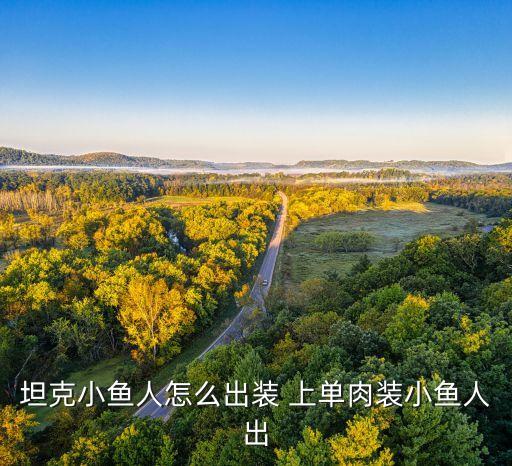 坦克小鱼人怎么出装 上单肉装小鱼人出