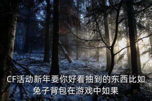 CF活动新年要你好看抽到的东西比如兔子背包在游戏中如果