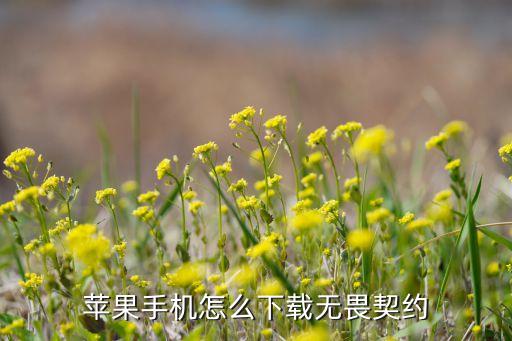 苹果手机怎么下载无畏契约