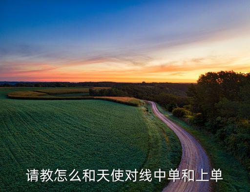 请教怎么和天使对线中单和上单