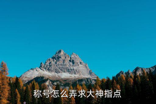 称号怎么弄求大神指点