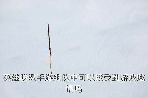 英雄联盟手游组队中可以接受到游戏邀请吗