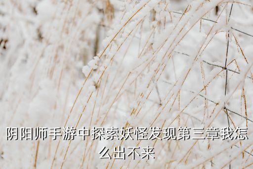 阴阳师手游妖怪发现副本怎么样，阴阳师手游中探索妖怪发现第三章我怎么出不来
