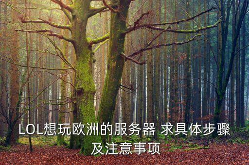 LOL想玩欧洲的服务器 求具体步骤 及注意事项