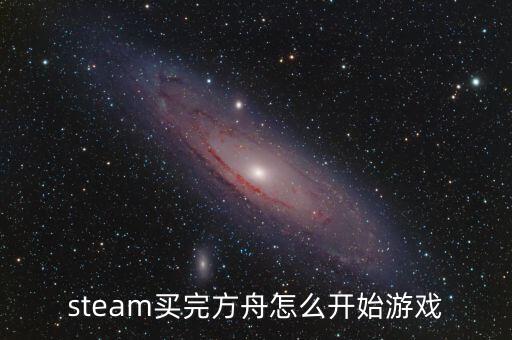 steam买完方舟怎么开始游戏
