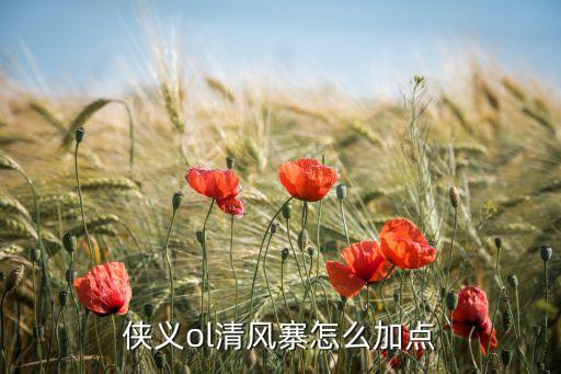 侠义ol清风寨怎么加点