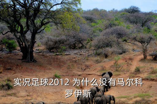 实况手游怎么获得马尔科，实况足球2012 为什么没有马尔科罗伊斯