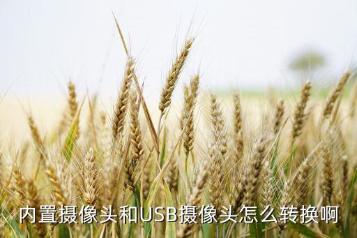 内置摄像头和USB摄像头怎么转换啊