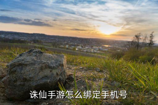 诛仙手游怎么绑定手机号