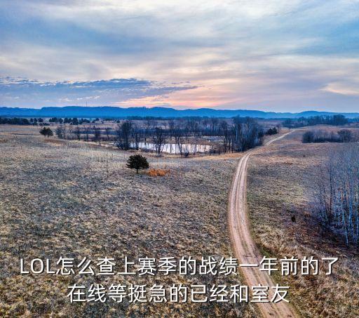 LOL怎么查上赛季的战绩一年前的了在线等挺急的已经和室友