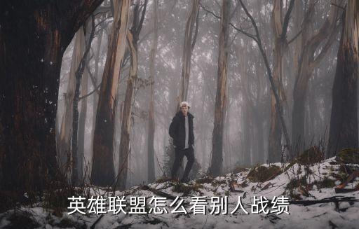 手游联盟怎么看好友战绩，英雄联盟怎么看别人战绩