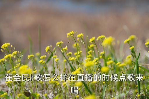 在全民k歌怎么样在直播的时候点歌来唱