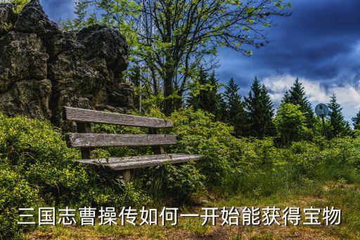 曹操传手游怎么拿宝物，手机版曹操传怎么样拿宝物