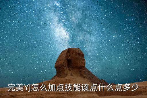 完美YJ怎么加点技能该点什么点多少