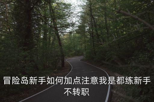 冒险岛新手如何加点注意我是都练新手不转职