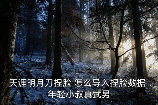 天刀手游怎么导入数据，天涯明月刀捏脸 怎么导入捏脸数据 年轻小叔真武男