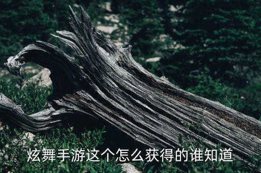 炫舞手游这个怎么获得的谁知道