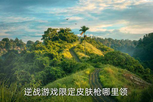 逆战手游死神皮肤怎么获得，逆战浴火枪芯死神怎么获得