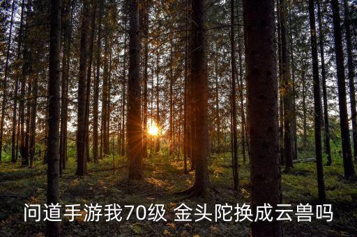 问道手游我70级 金头陀换成云兽吗