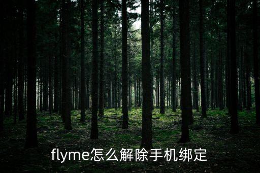flyme怎么解除手机绑定
