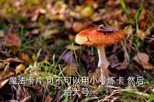 魔法卡片 可不可以用小号炼卡 然后给大号