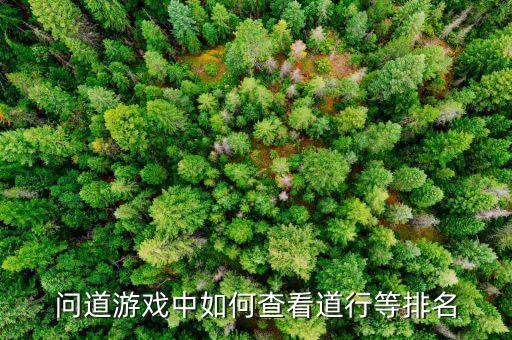 问道游戏中如何查看道行等排名