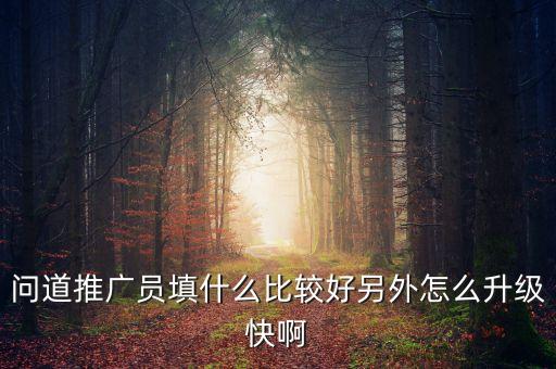 问道推广员填什么比较好另外怎么升级快啊
