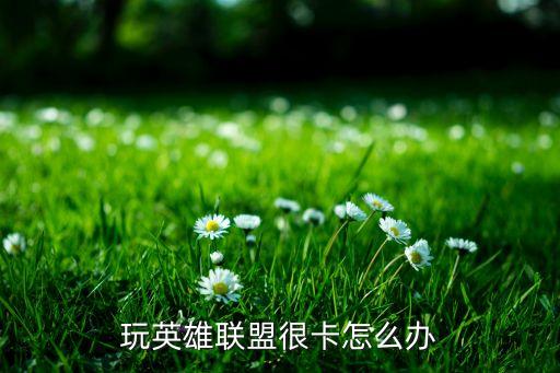 玩英雄联盟很卡怎么办